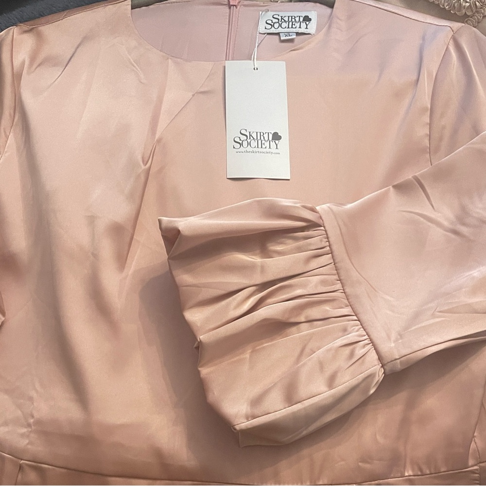 Pink Ruffle Sleeve Dress - Picture 5 of 5